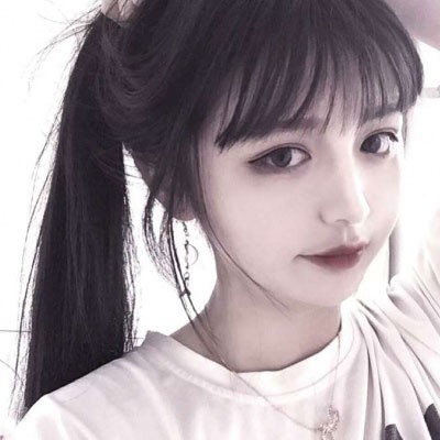 华丽动物填颜色